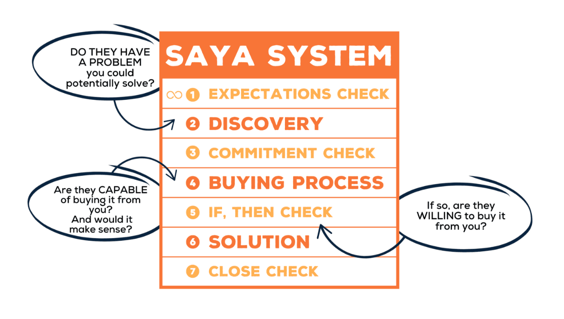 SAYA System Diagram